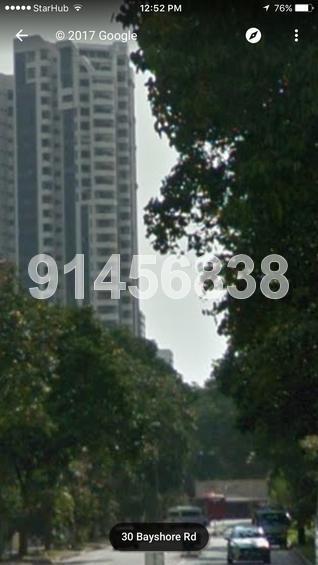 Bayshore Park (D16), Condominium #135524992
